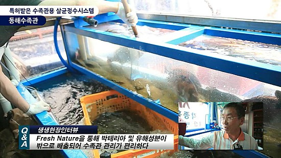 중앙수족관 이미지
