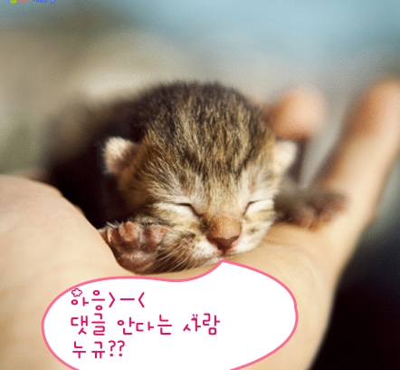 교짬 이미지