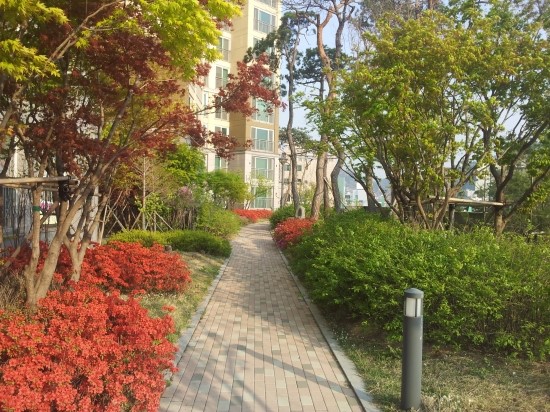 엠제이와이 이미지