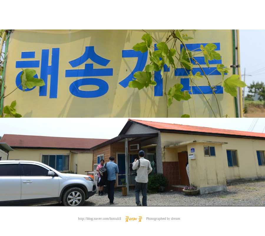 신안옻오리 이미지