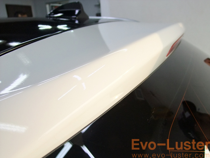 Evo-Luster 이미지