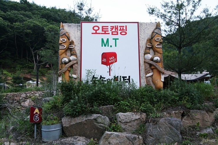 숲속의빈터 이미지