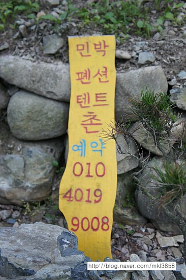 보현민박오토캠핑장 이미지