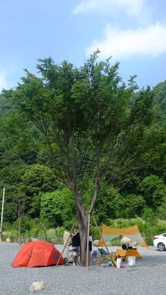 홀리데이캠프캠핑장 이미지