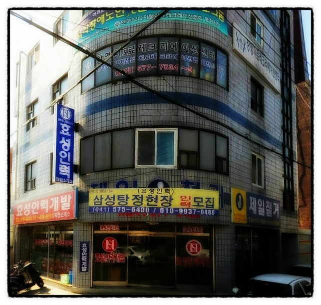 세종인력직업소개소 이미지