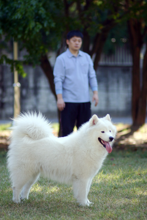 랑이 이미지