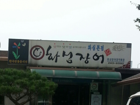 화심장어 이미지