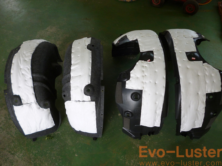 Evo-Luster 이미지