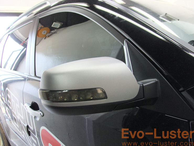 Evo-Luster 이미지