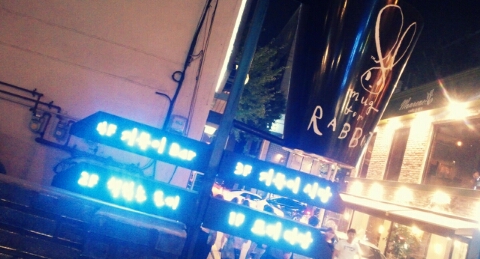 그릴터틀 이미지