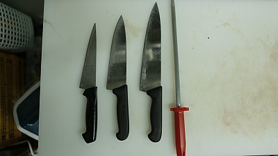 순한우암소한마리 이미지