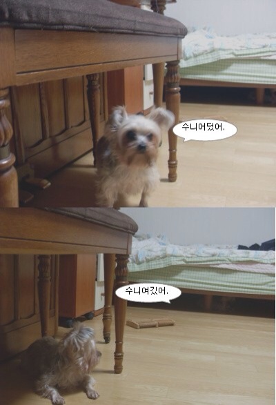 수니인테리어 이미지