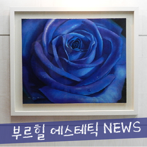 부르힐 에스테틱 이미지