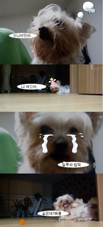 수니인테리어 이미지