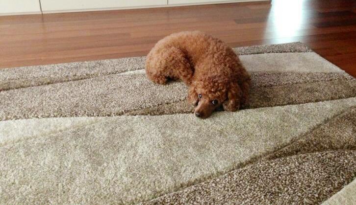 신컴 이미지