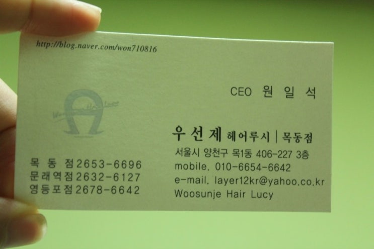 우선제 헤어루시 이미지