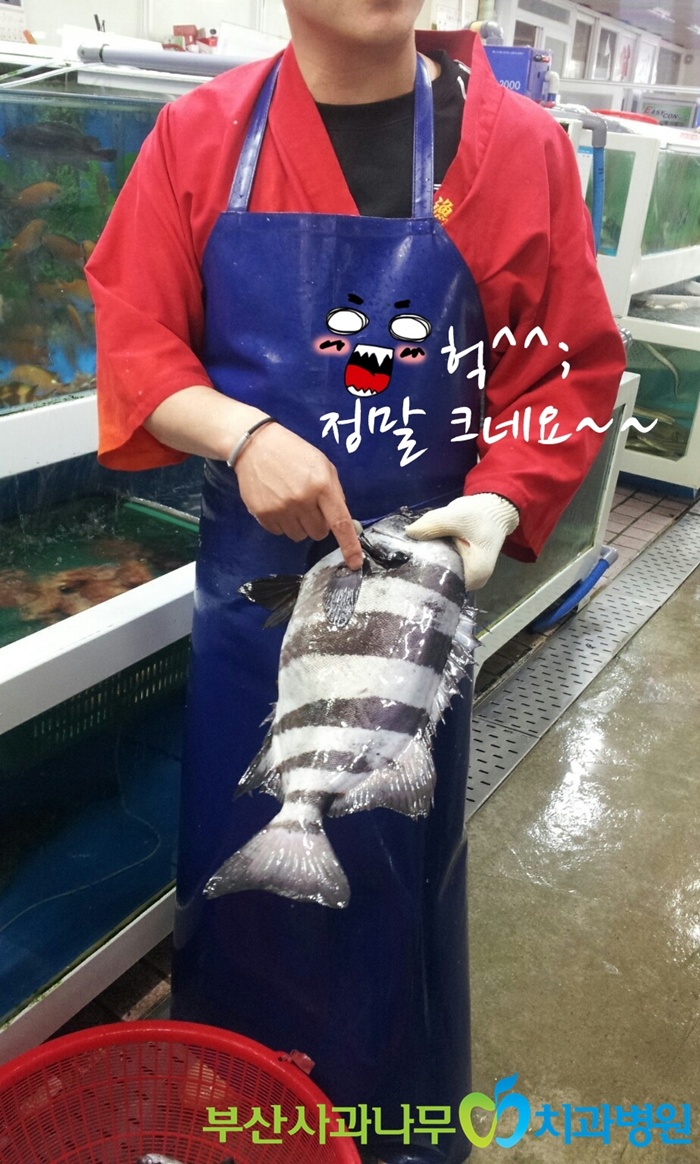 부산낚시 이미지