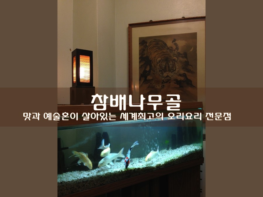 야간채소음식 이미지