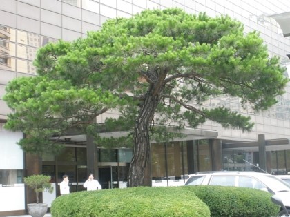 전원조경 이미지