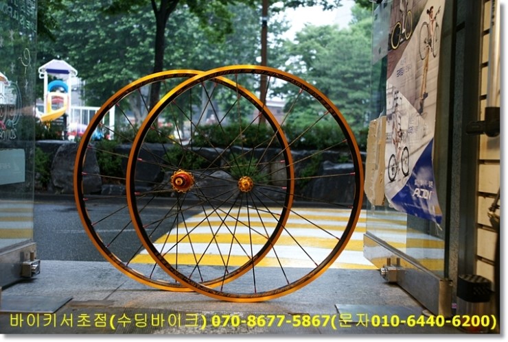 아모에바 이미지