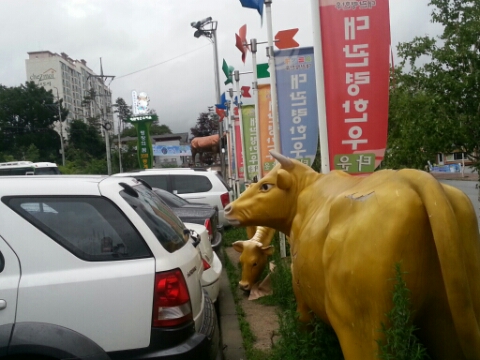한*우 이미지