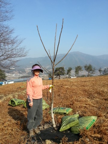 느린거름 이미지
