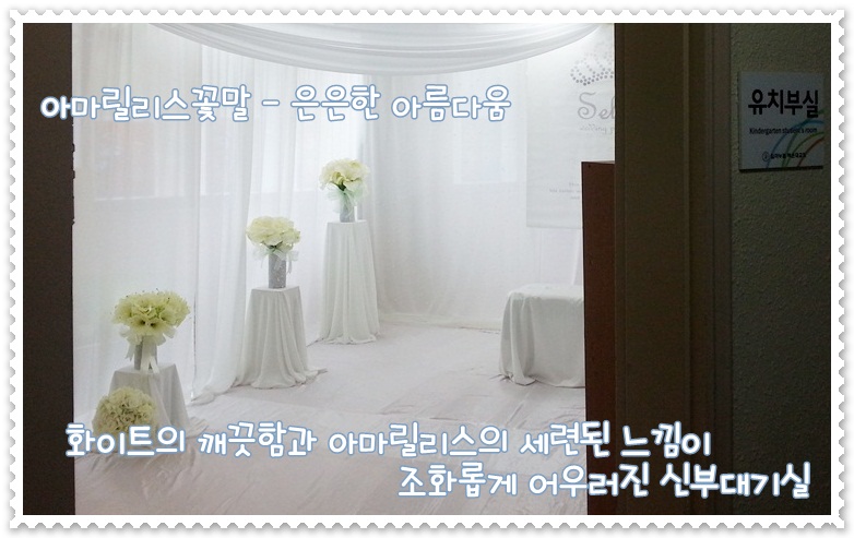 셀라스냅 이미지