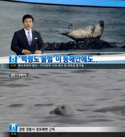 해명수산 이미지