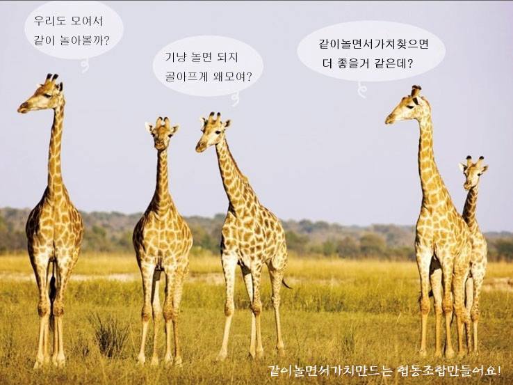 협동조합하랑 이미지