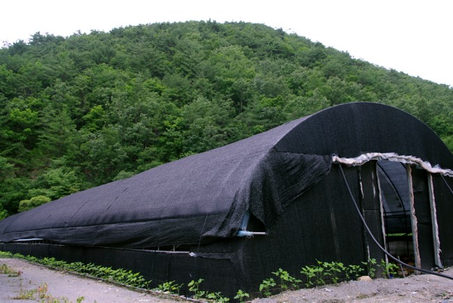 보현농산 이미지