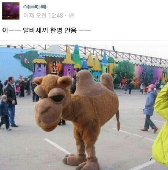 명*안* 이미지