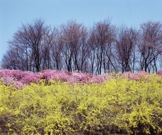 체담한방병원 이미지