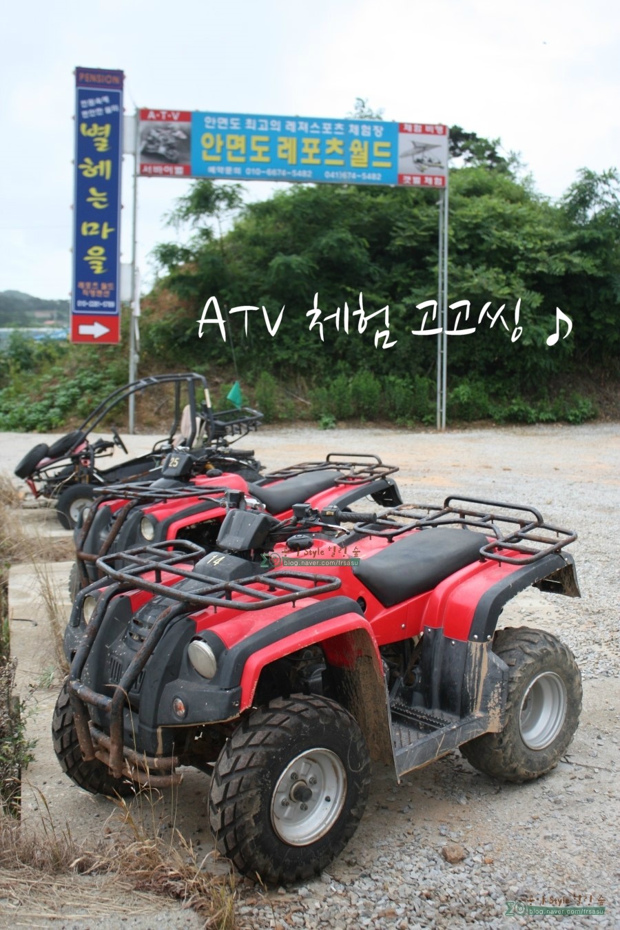 레포츠월드 이미지