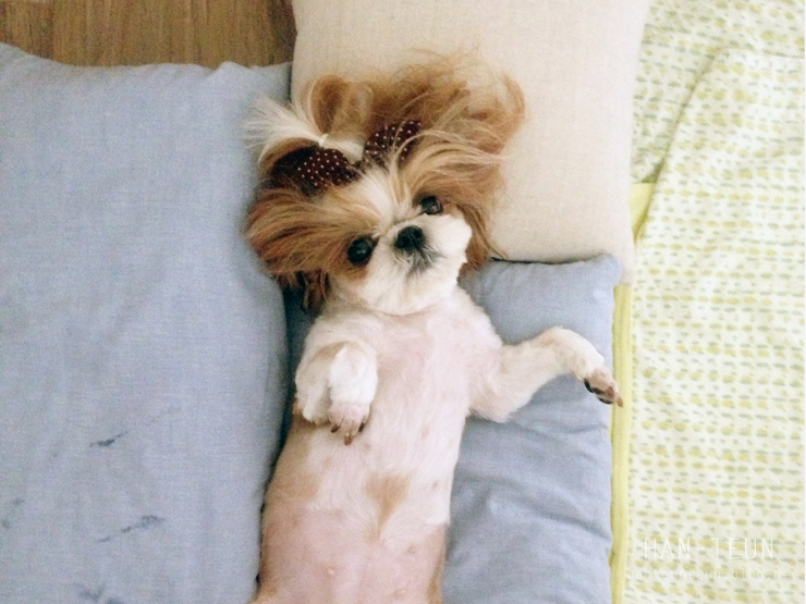굿모닝토토 이미지
