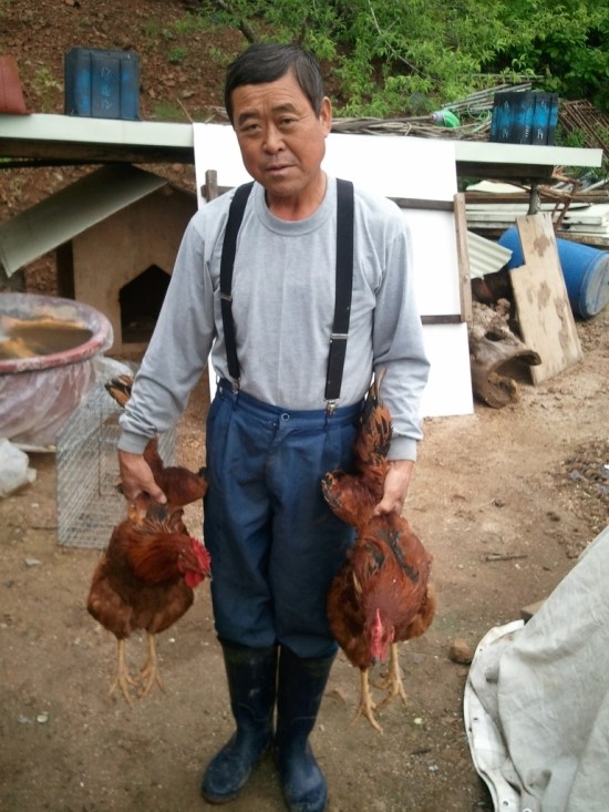 풍류민박 이미지
