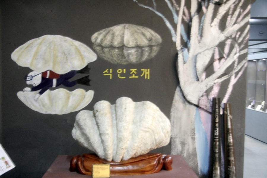 제주화석박물관 이미지
