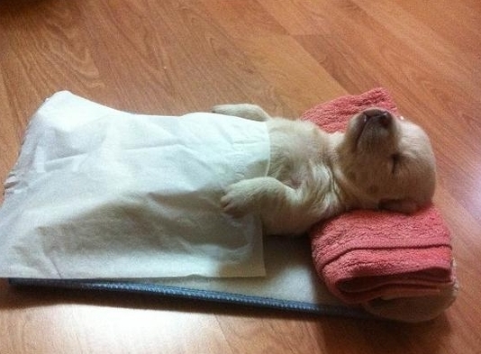 공감 이미지