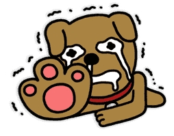 안녕아멜리 이미지