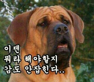 아 이미지