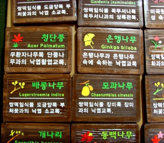 우드사인 이미지