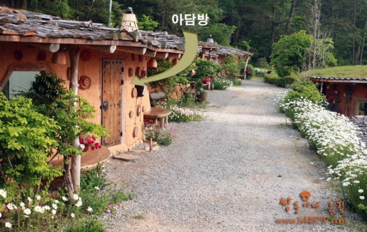 아담방 이미지