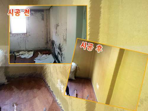 곰팡이헌터 이미지