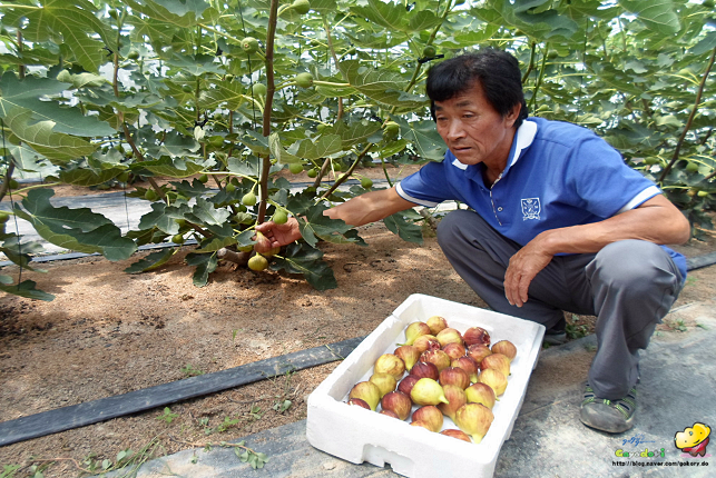 대백마트 고령 이미지