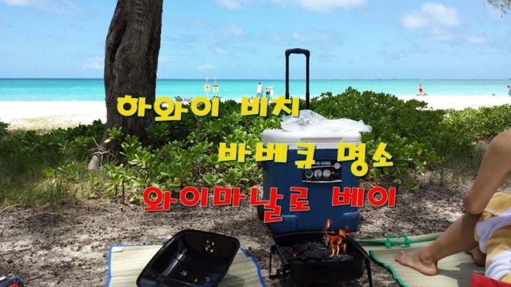 알로하하와이바베큐 이미지