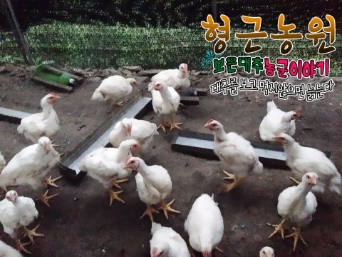 형근농원 이미지
