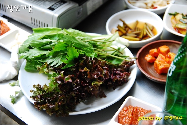 청산오리 이미지