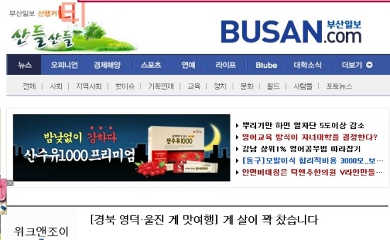 부산모범관광 이미지