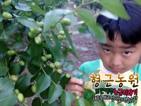 형근농원 이미지