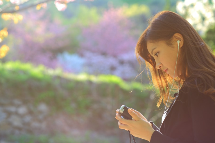 미스플라워 이미지