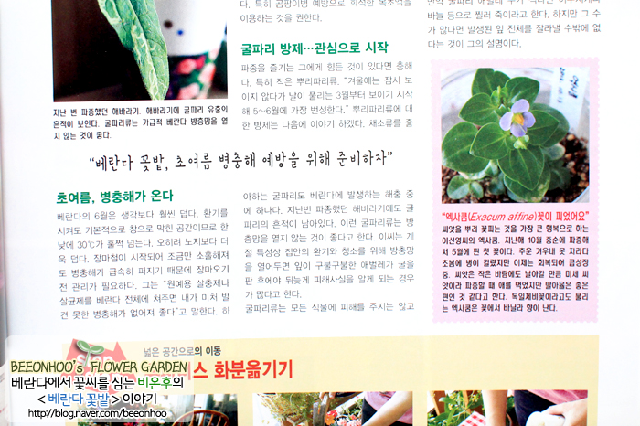 어느날;꽃이피다 이미지